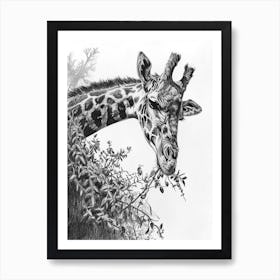 Giraffe In The Leaves Pencil Drawing 2 Art Print