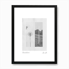 Dandelion Botanical Collage 1 Art Print