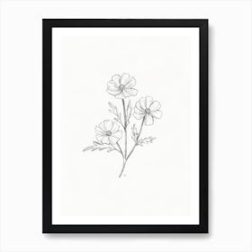 Cosmos Flower Pencil Sketch Art Print