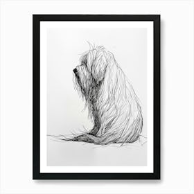 Hairy Dog Black & White Line Sketch Art Print