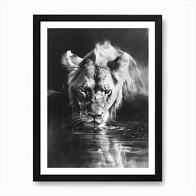 African Lion Charcoal Drawing Drinking From A Watering Hole 3 Art Print