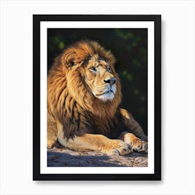 Barbary Lion Resting Acrylic Painting 2 Art Print