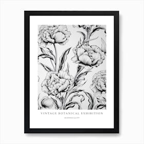 Morning Glory 2 B&W Vintage Botanical Poster Art Print