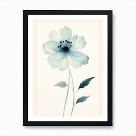 Blue Anemone Flower 1 Art Print