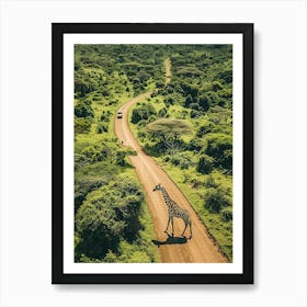 Giraffe Crossing Road Art Print