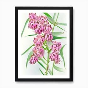 Swamp Milkweed Wildflower Watercolour 1 Art Print