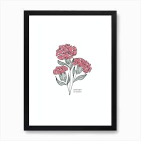 January Carnation Birth Flower 1 Art Print