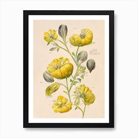 Yellow Vintage Flowers Farmhouse Botanical Art Print