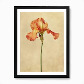 2024 May Poster Canvas Sng Iris 32 Art Print