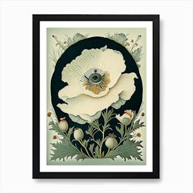 Matilija Poppy Wildflower Vintage Botanical 1 Art Print