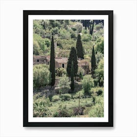 Cypresses On The Hill Poster