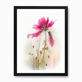 Prairie Smoke Wildflower Watercolour Art Print