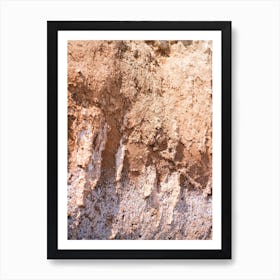 Pastel Ground // Ibiza Nature Photography Art Print