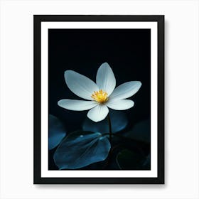 Lotus Flower 17 Art Print