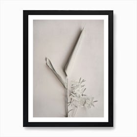 Blumenposter Alabaster Minimalist fürs Wohnzimmer