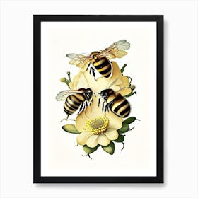 Bees 2 Vintage Art Print