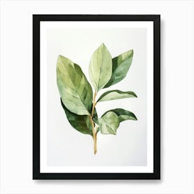 Green Leaf Watercolor Painting Art Print