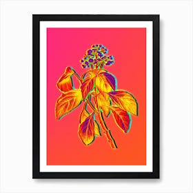 Neon Climbing Hydrangea Botanical in Hot Pink and Electric Blue n.0427 Art Print
