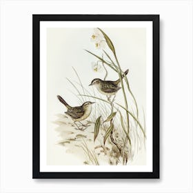 Two Birds On Grass by Elizabeth Gould Art Print