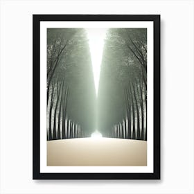 Path Through The Trees Art Print