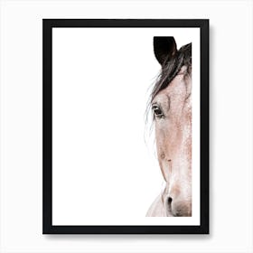 Horse Portrait Art Print