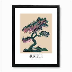 Juniper Tree Colourful Illustration 4 Poster Art Print