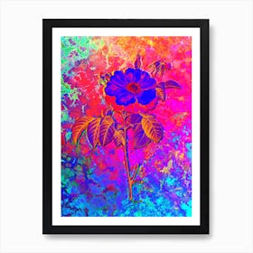 Speckled Provins Rose Botanical in Acid Neon Pink Green and Blue n.0036 Art Print