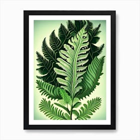 Rabbit S Foot Fern 1 Vintage Botanical Poster Art Print