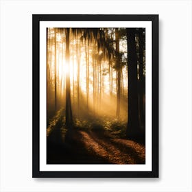 Sunrise In The Forest 4 Art Print