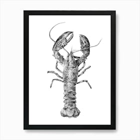 Dotwork Lobster Illustration Art Print