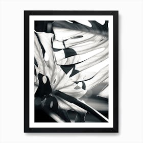 Mono Leaves Art Print