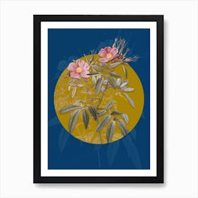 Vintage Botanical Pink Swamp Roses on Circle Yellow on Blue Art Print