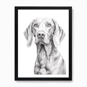 Weimaraner Dog, Line Drawing 1 Art Print