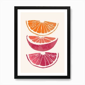 Orange Slices 8 Art Print