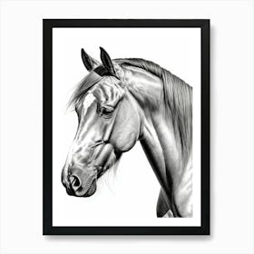 Highly Detailed Pencil Sketch Portrait of Horse with Soulful Eyes 15 Art Print