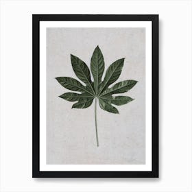 Aralia Leaf Art Print