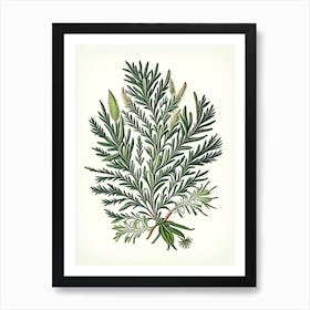 Rosemary Leaf Vintage Botanical 2 Art Print