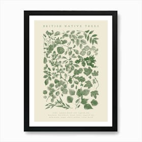 British Native Trees Art Print
