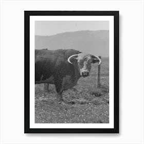 Untitled Photo, Possibly Related To Bull S Head, Cruzen Ranch, Valley County, Idaho By Russell Lee 2 Art Print