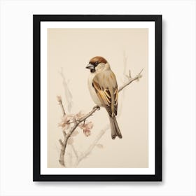 Vintage Bird Drawing Finch 2 Art Print