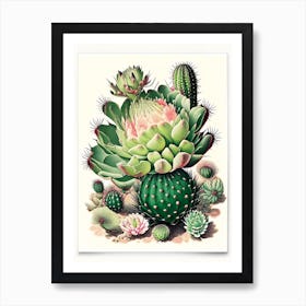 Cactus Flower 2 Floral Botanical Vintage Poster Flower Art Print