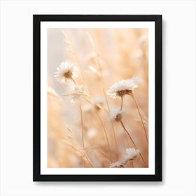 Boho Dried Flowers Daisy 2 Art Print