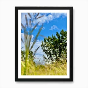 Long dock park Art Print