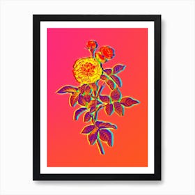 Neon One Hundred Leaved Rose Botanical in Hot Pink and Electric Blue n.0588 Art Print