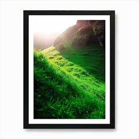 Green Grass In The Sun Art Print