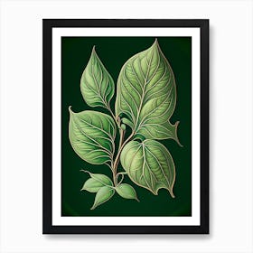 Jasmine Leaf Vintage Botanical 2 Art Print