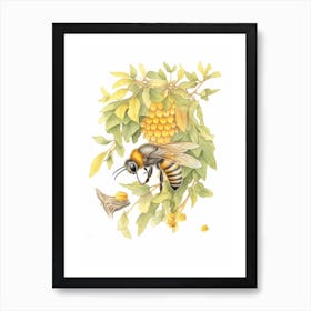 Uropean Wool Carder Bee Beehive Watercolour Illustration 1 Art Print