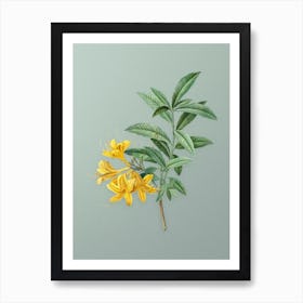 Vintage Yellow Azalea Botanical Art on Mint Green n.0397 Art Print