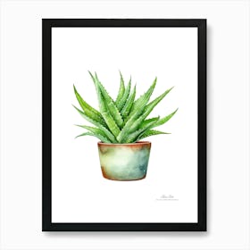 Aloe vera plant. Green plant. Beautiful plant. Thorns plant. Aloe vera flowers.16 Art Print