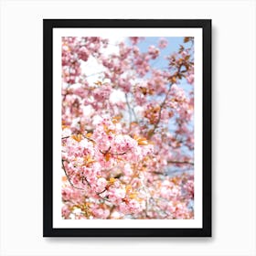 Cherry Flowers Art Print
